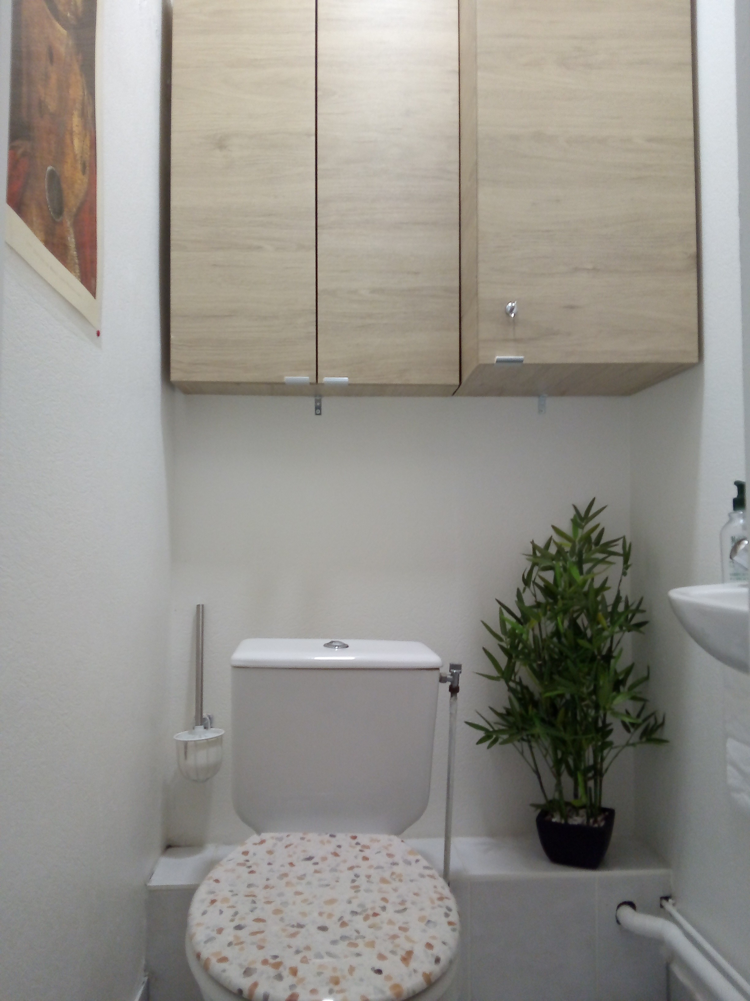 toilette séparée de la salle d'eau