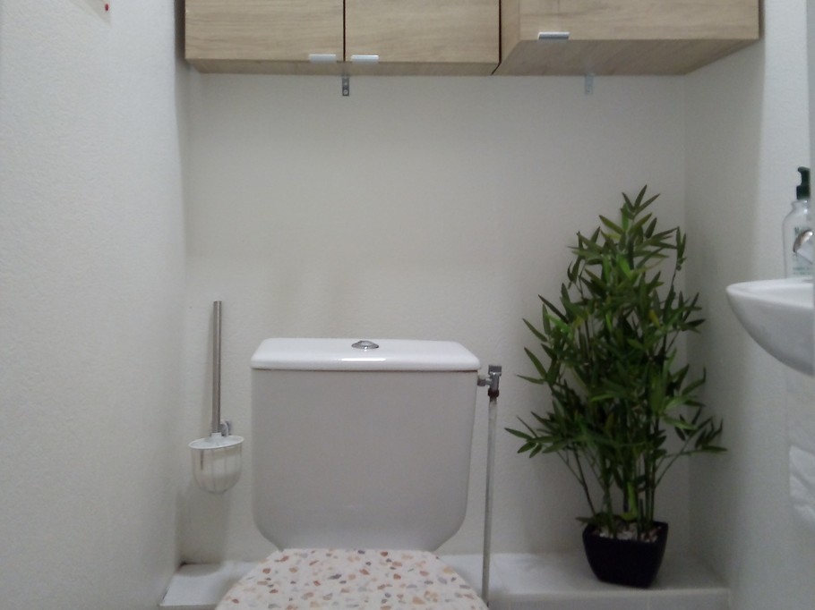 toilette séparée de la salle d'eau