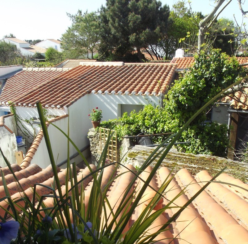 Vue de l'étage : la cour et la remise