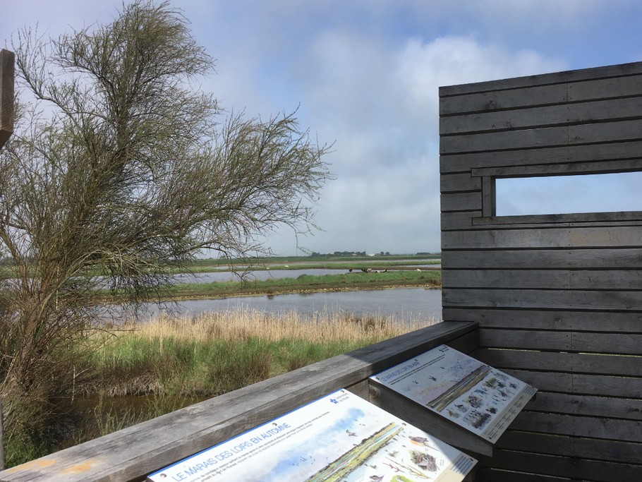 Observatoire d'oiseaux (piste cyclable)