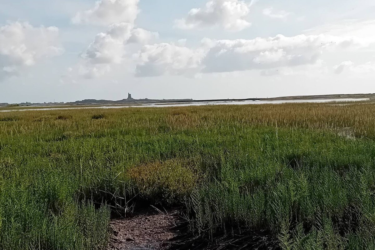 Photo n° 16 of the location