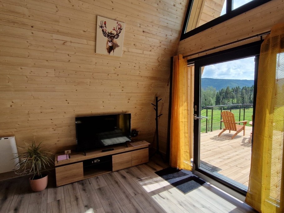 Chalet Chevreuil -  Espace salon et terrasse