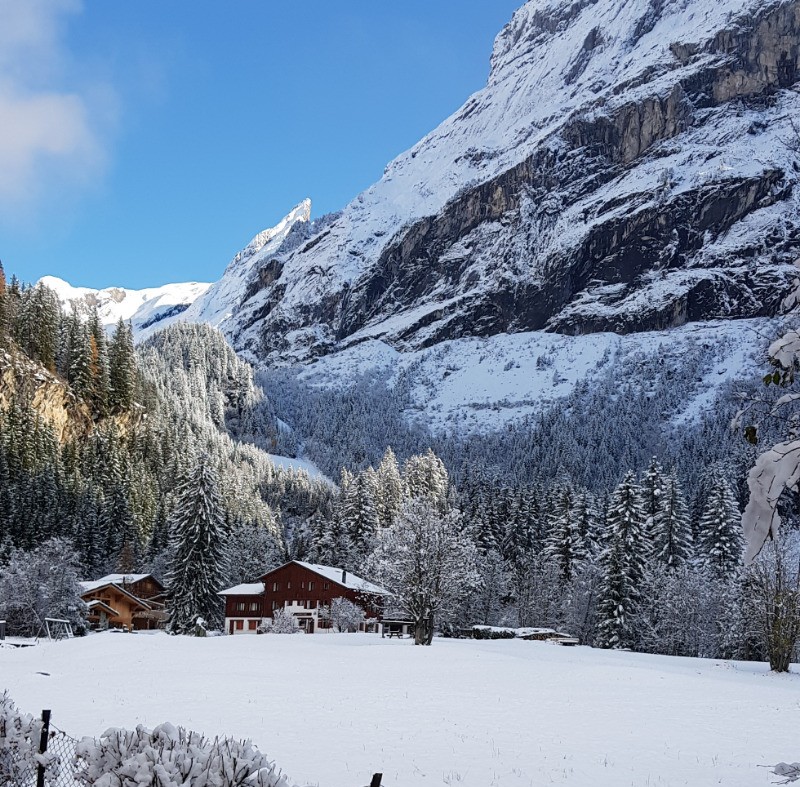 Vue sur le jardin des neiges