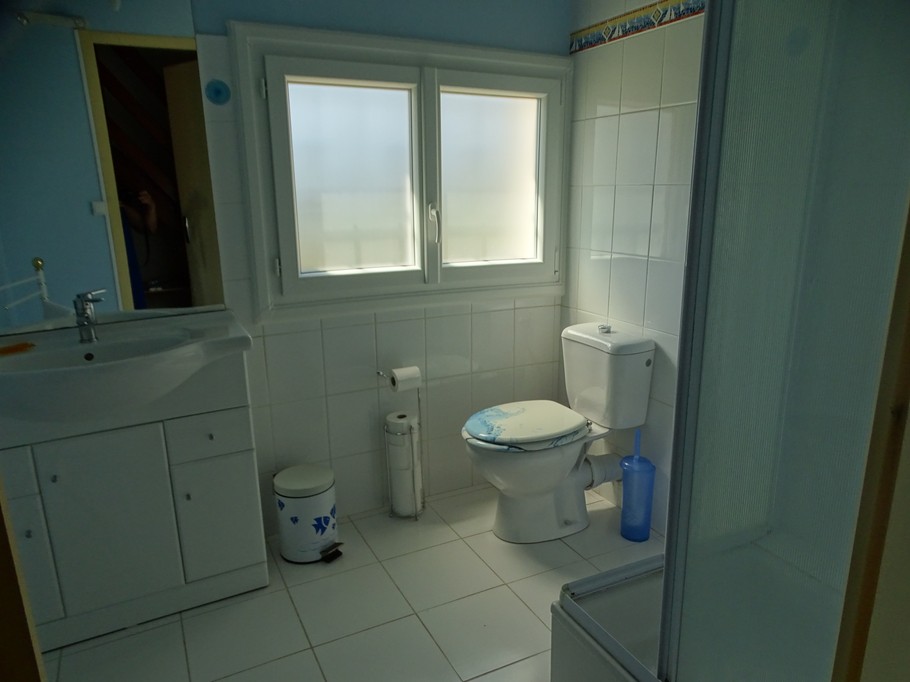 Salle d'eau attenante chambre