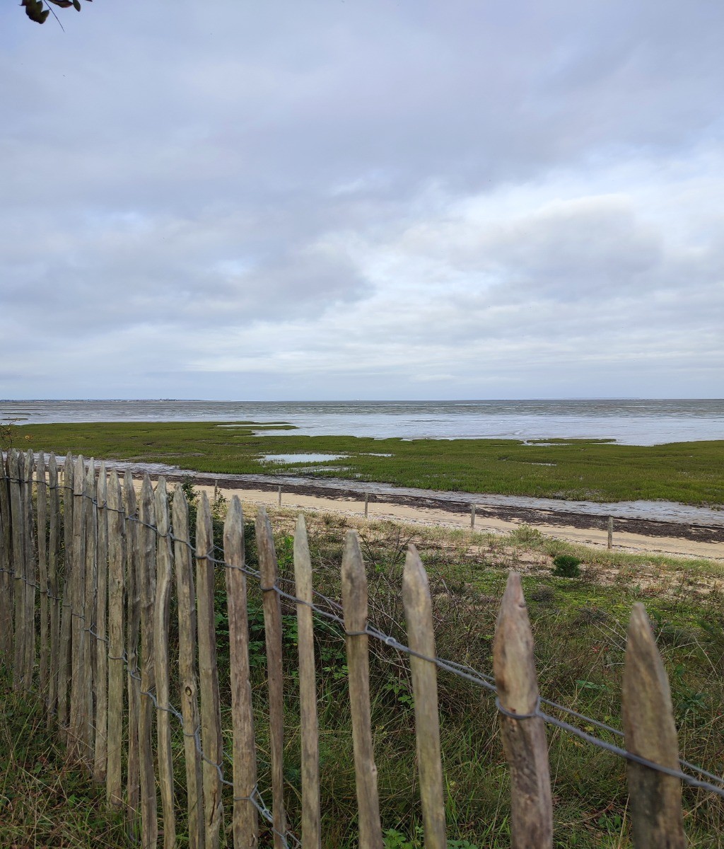 Le "Chemin d'Oléron" au départ de Château d'Oléron
