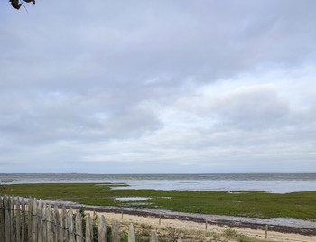 Le "Chemin d'Oléron" au départ de Château d'Oléron