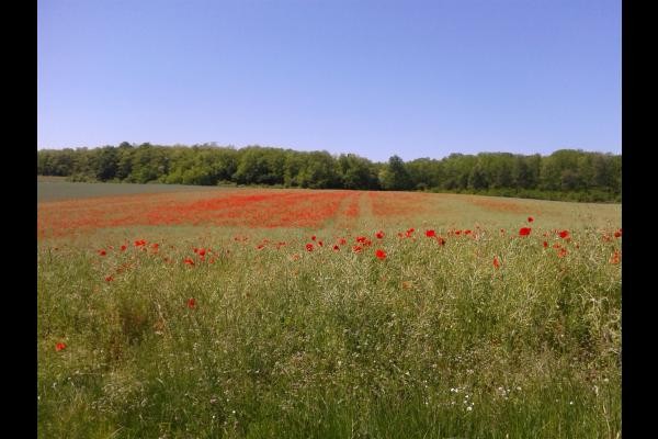 Photo n° 18 de la location