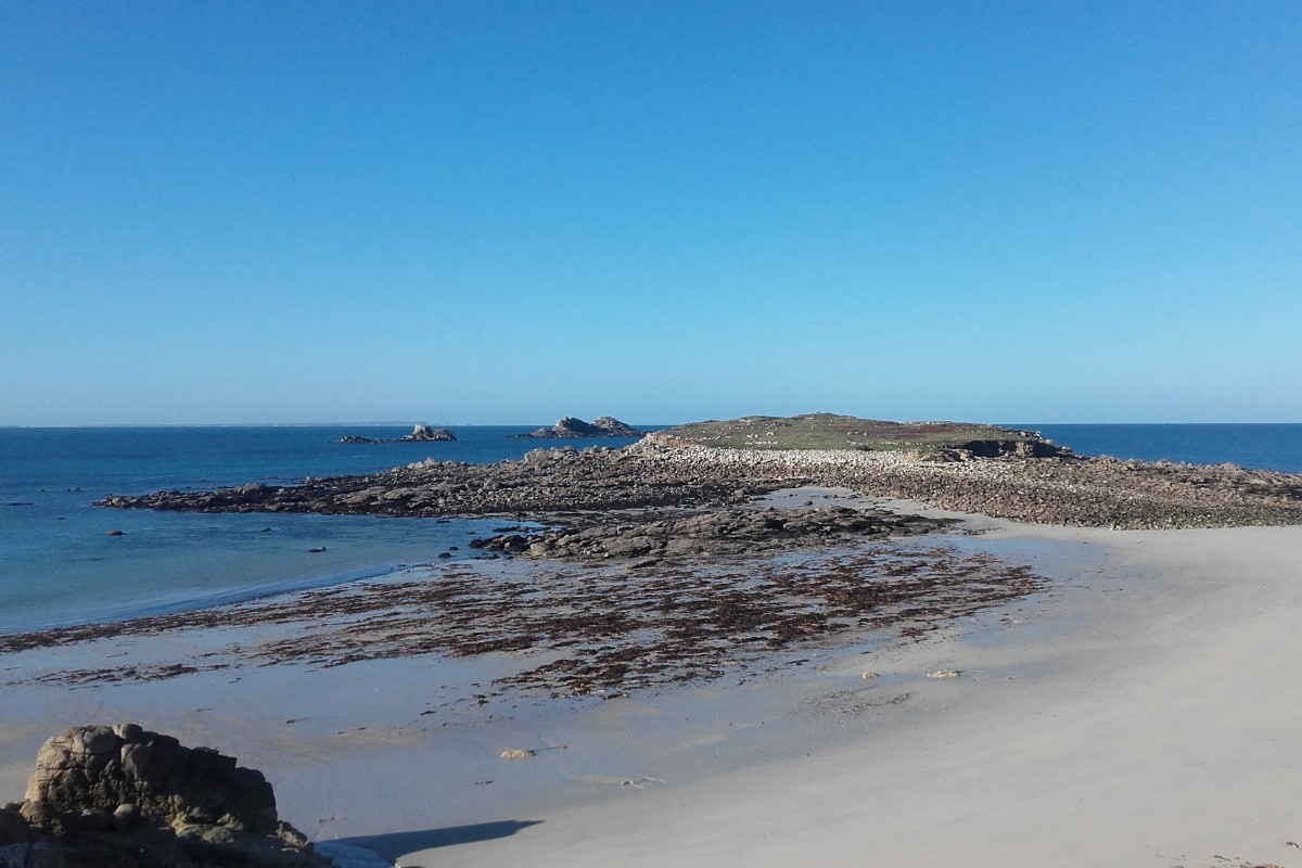 Ile Segal plage à 150 m