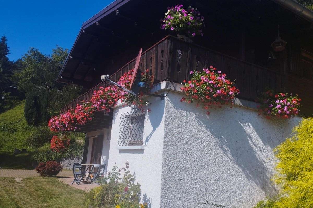 Photo n° 15 de la location