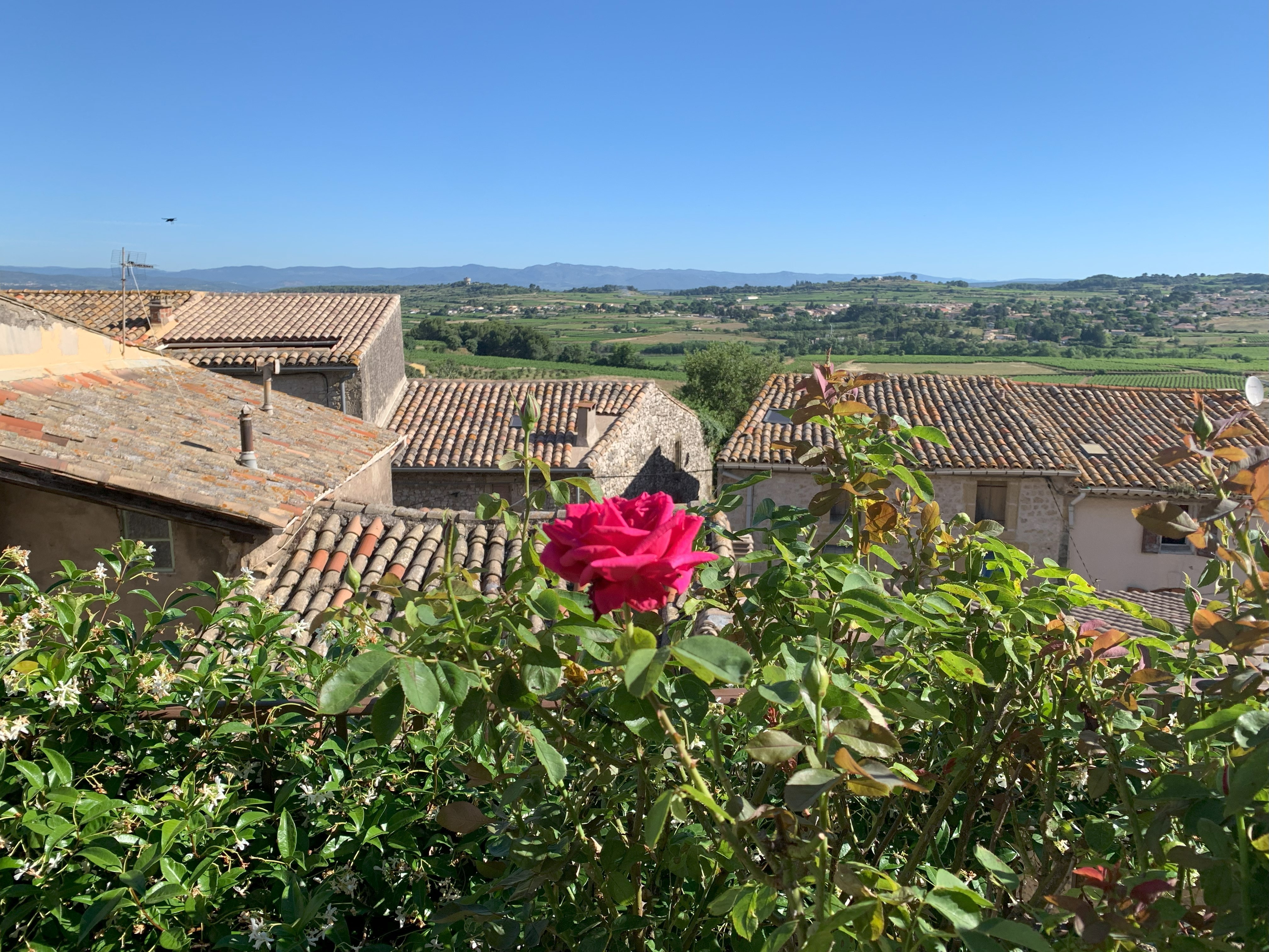 Photo n° 9 de la location
