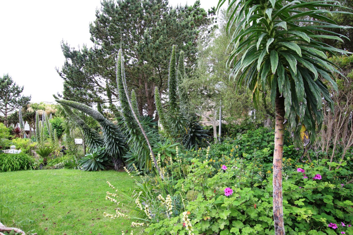 Ile de Tatihou (jardins)
