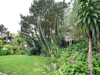Ile de Tatihou (jardins)