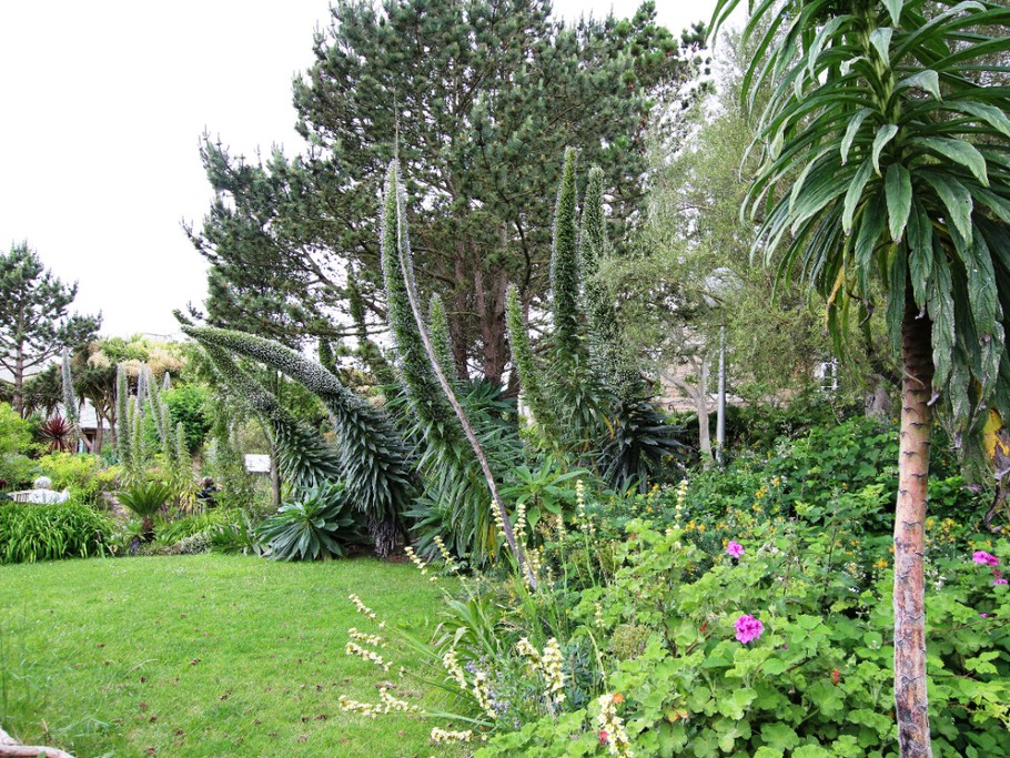 Ile de Tatihou (gardens)
