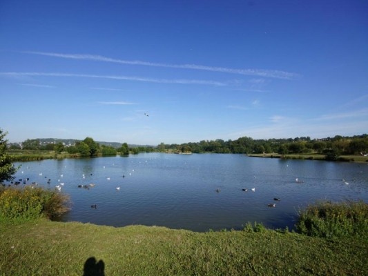 plan d'eau d'eau du marais de villers sur mer a 150 m de notre location saisonnière