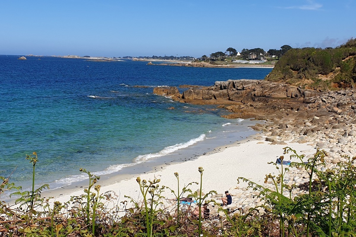 Clévacances - MAISON POUR 4 PERSONNES IDÉALEMENT SITUÉE PRES DE LA MER entre PERROS- GUIREC ET PAIMPOL - COTES D'ARMOR - BRETAGNE - paysage secteur