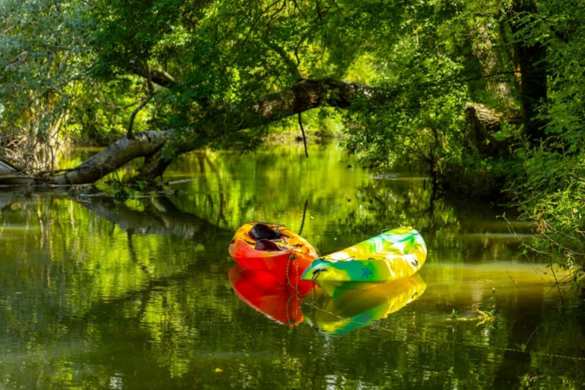 Vu de La Charente avec des canoës à disposition de la Villa des Eaux Douces" en Charente pour 15 personnes
