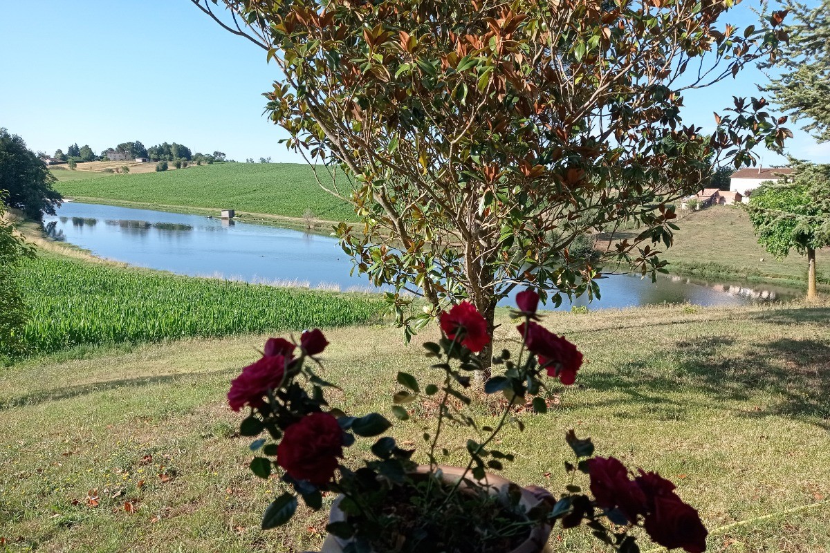 Clevacances - Gîte Chez Franssou Graulhet dans le Tarn en Occitanie