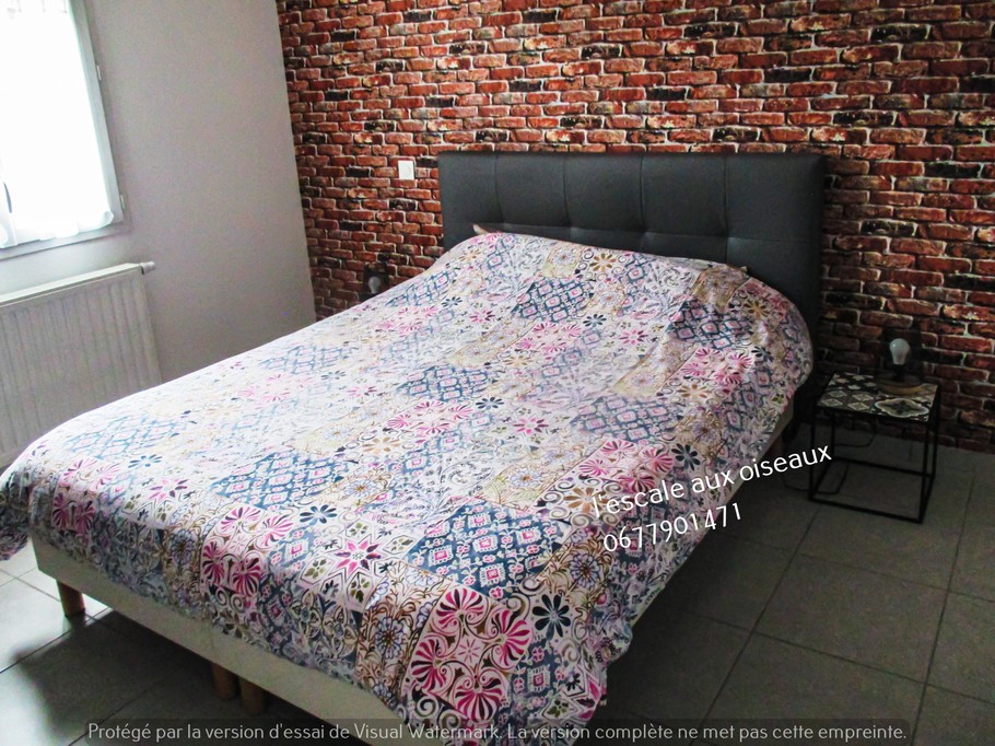 Photo n° 6 de la location