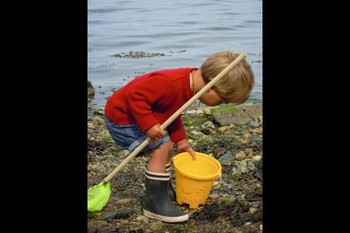 Photo n° 10 de la location