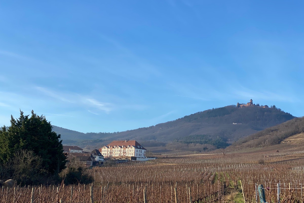 La maison au pied de l'ancien château des Ducs de Lorraine et le Haut Koenigsbourg