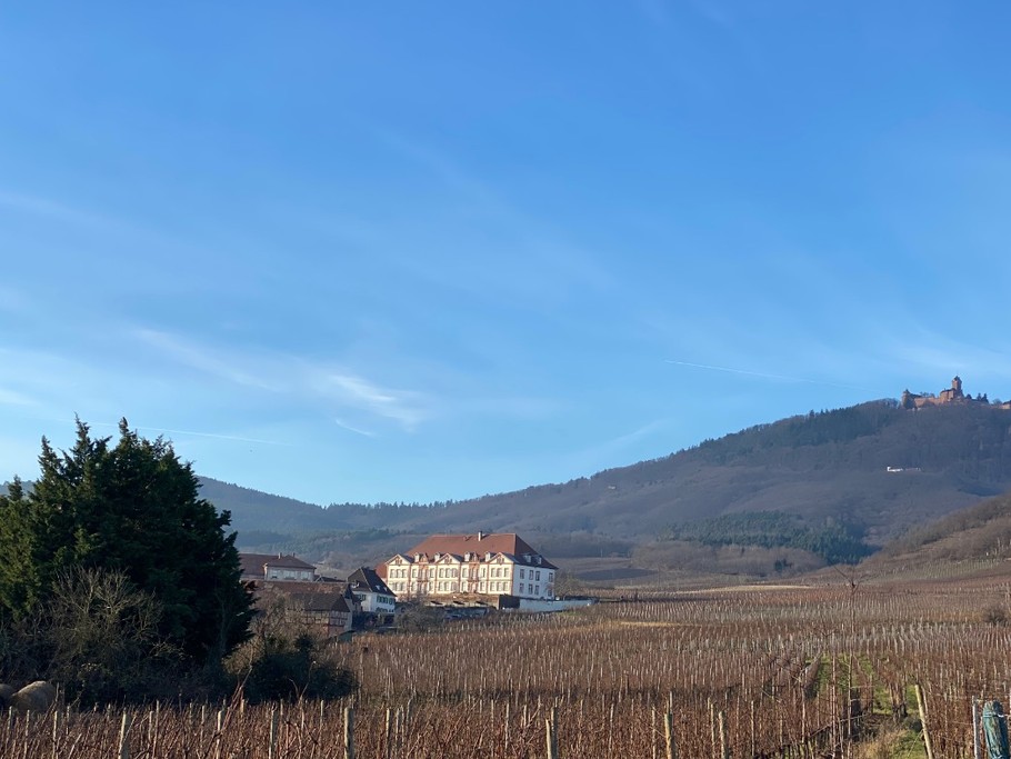 La maison au pied de l'ancien château des Ducs de Lorraine et le Haut Koenigsbourg