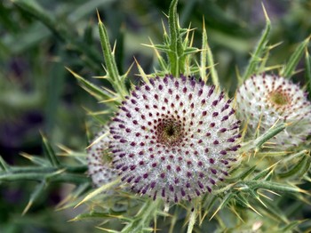 Photo n° 19 of the location