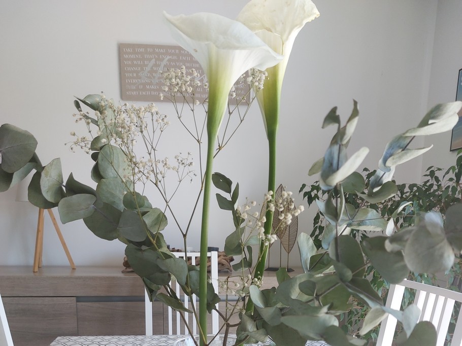 Photo n° 6 de la location