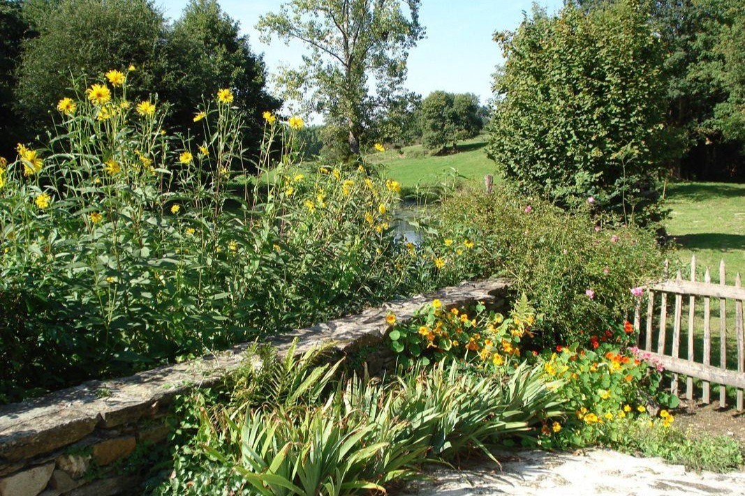 Jardin fleuri