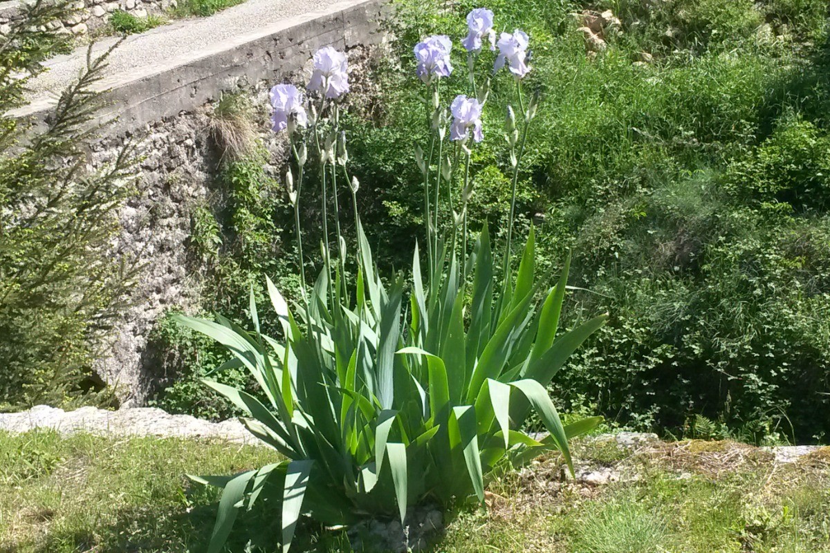 Photo n° 7 of the location