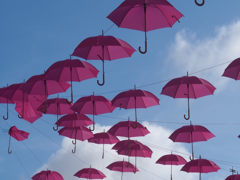 Photo n° 17 de la location