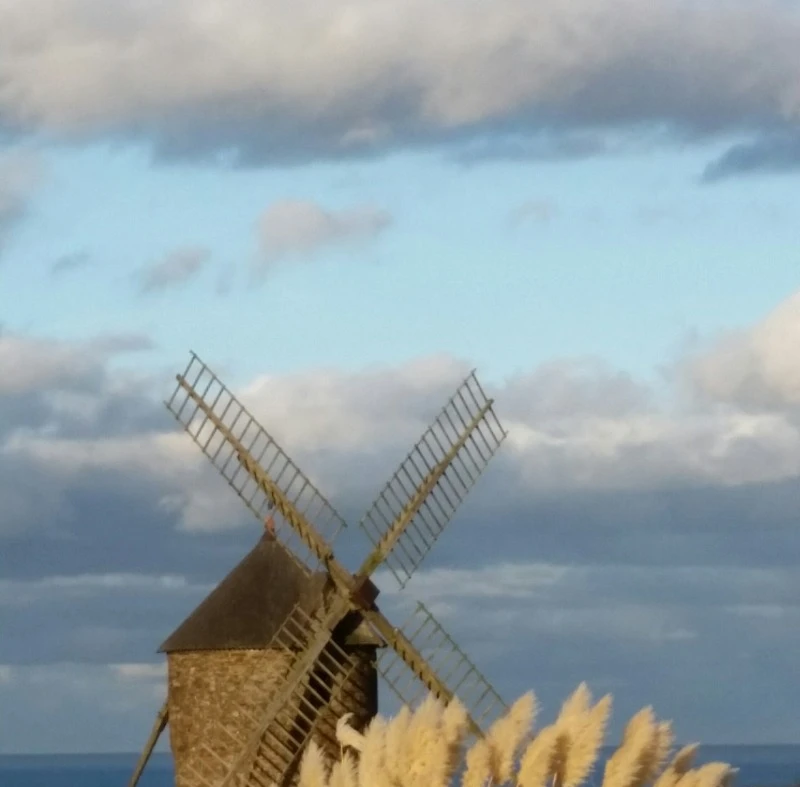 La maison de Marilou, location "L'Ile à Bois" en plein coeur du vieux Paimpol (Côtes d'Armor, Bretagne) - Moulin de Craca
