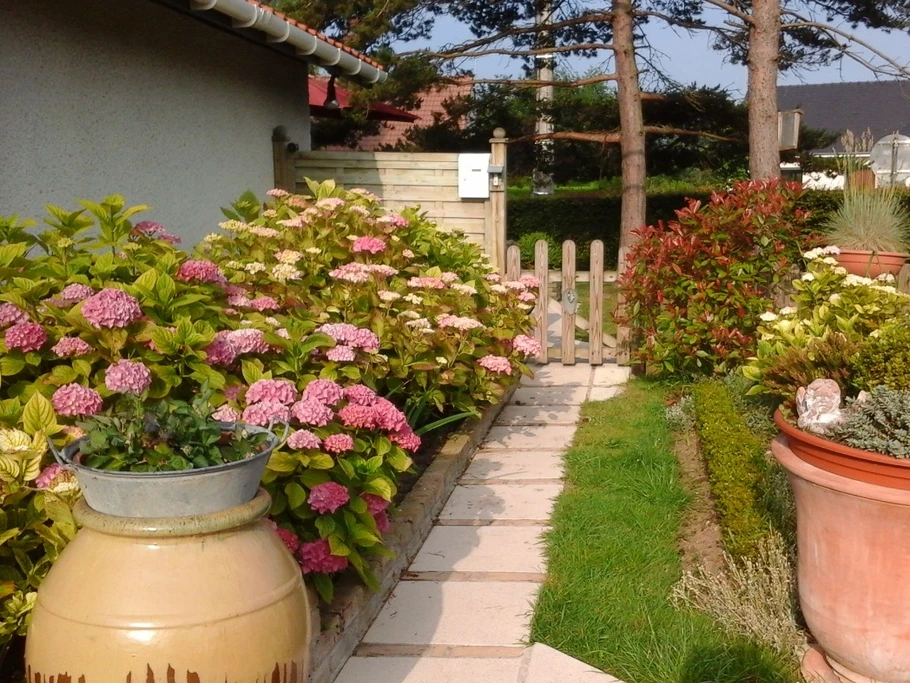 La petite allée vers le gîte!