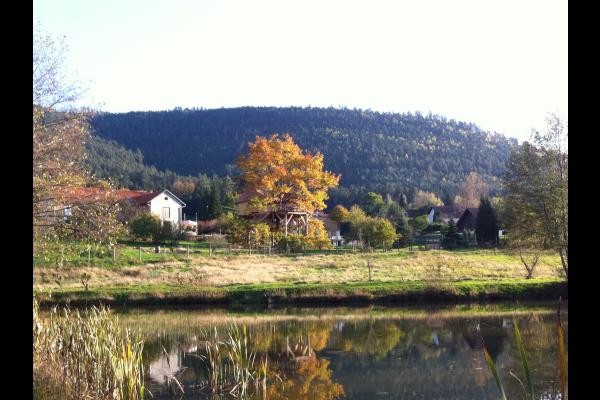 les cabanes vues de l'étang