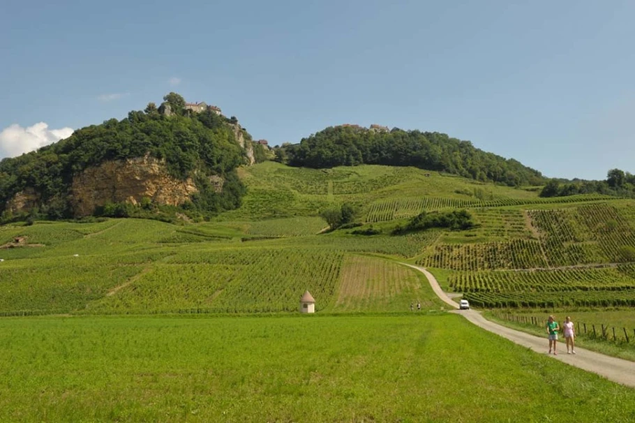 Vignobles de Chateau Chalon