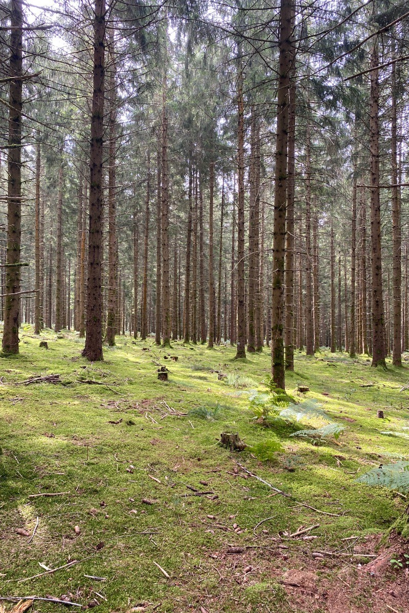 Photo n° 15 of the location