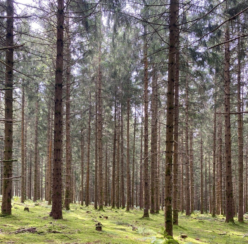 Photo n° 15 of the location