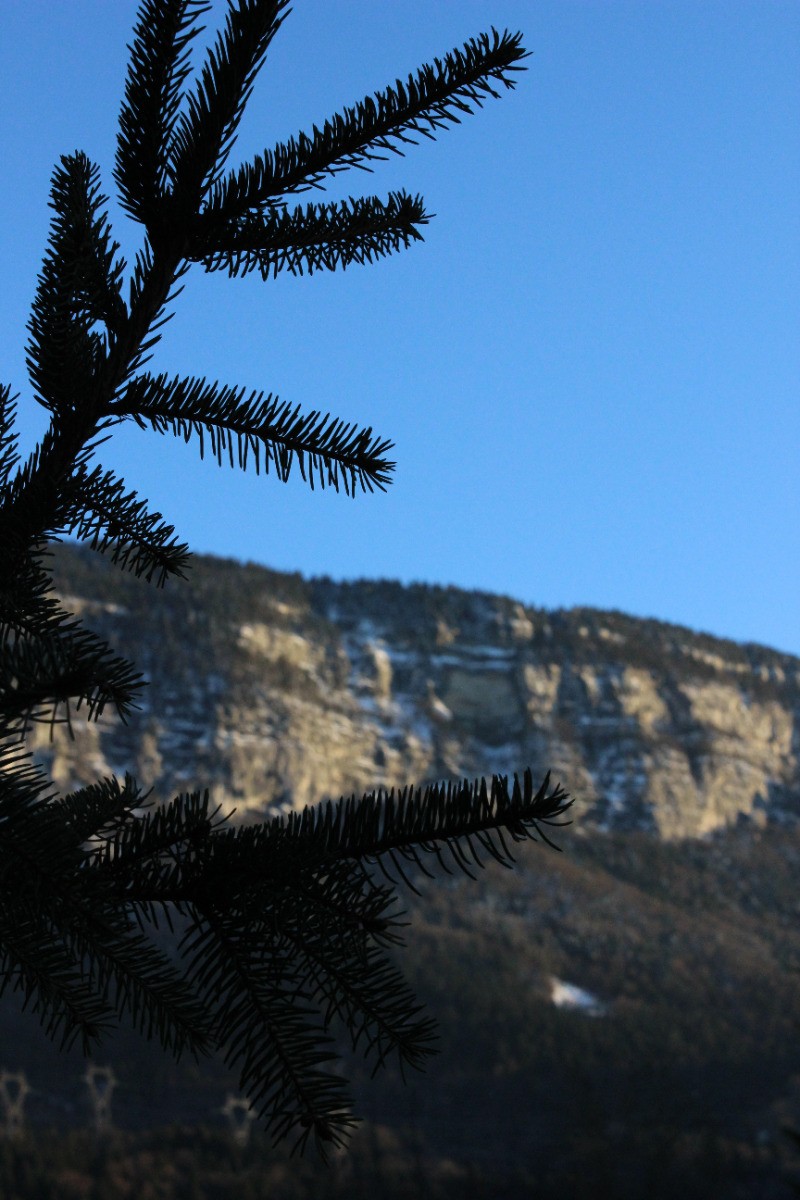 vue de la terrasse