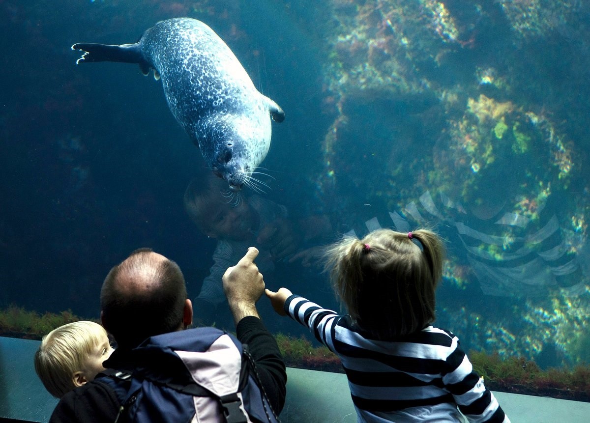 Océnopolis: A large ocean discovery park home to 10,000 marine animals