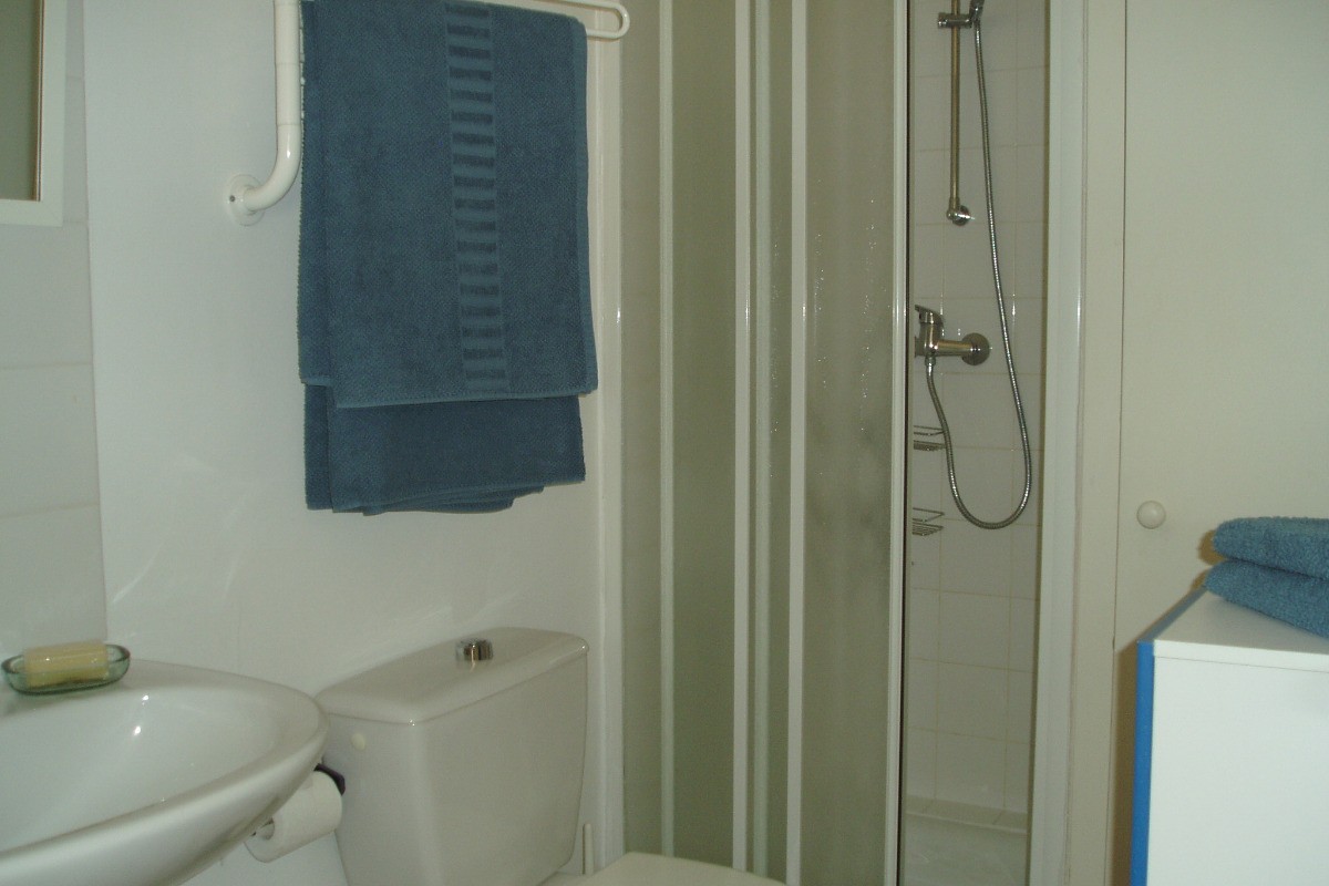 salle de bain avec serviettes fournies