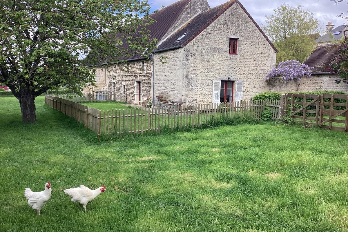 Photo n° 11 de la location