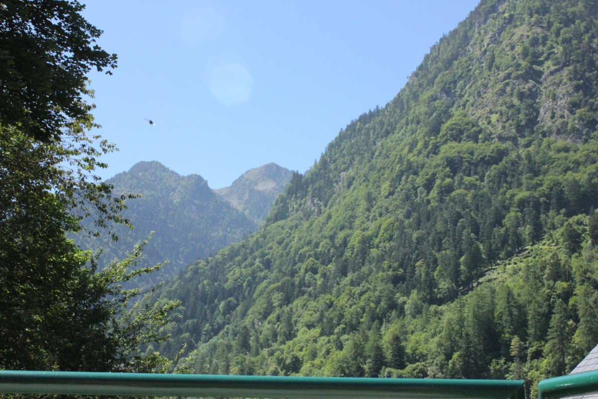 Vue depuis la terasse du gîte.