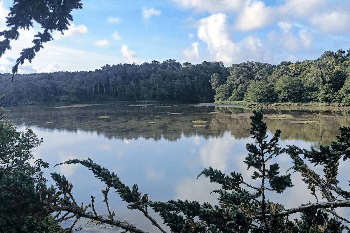 Photo n° 8 de la location