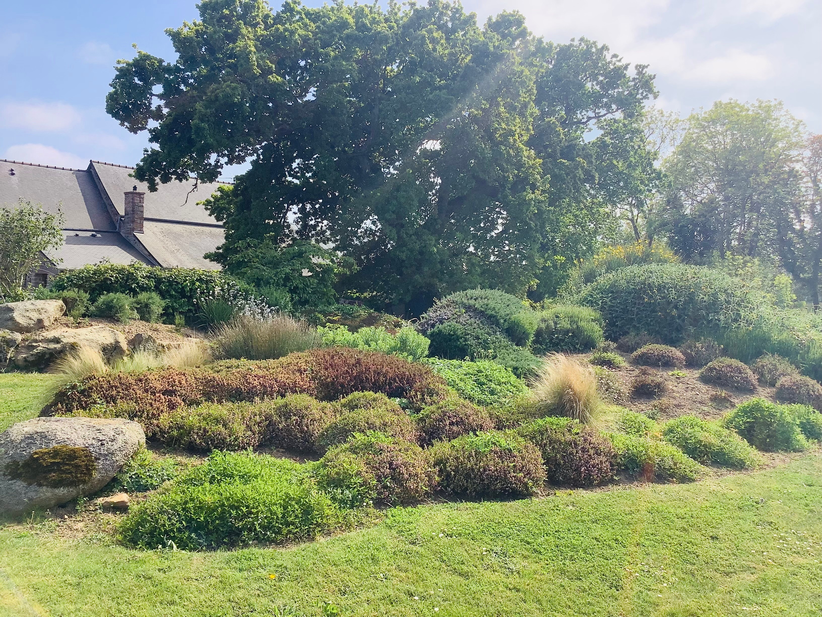 Photo n° 12 de la location