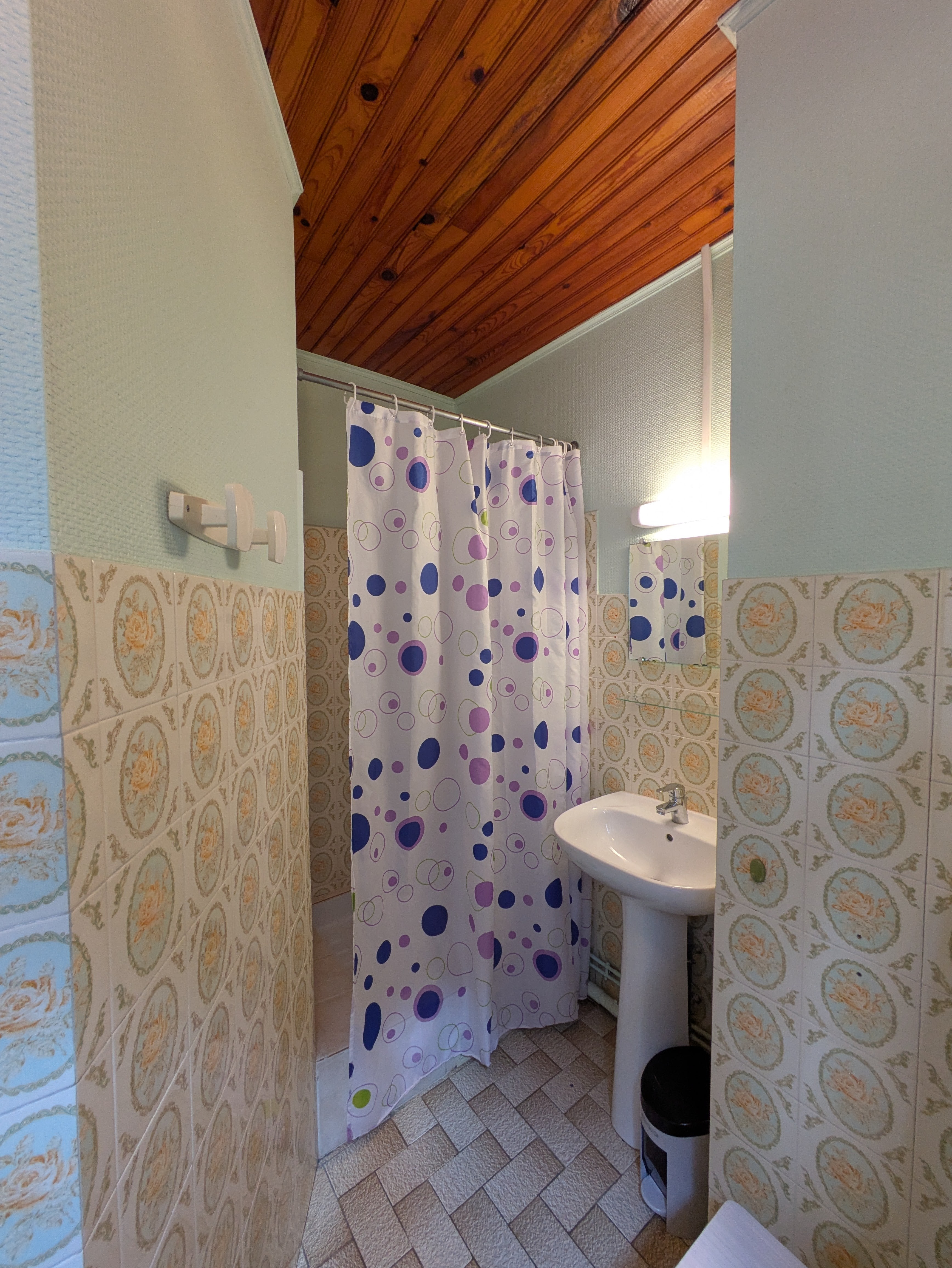 Shower room