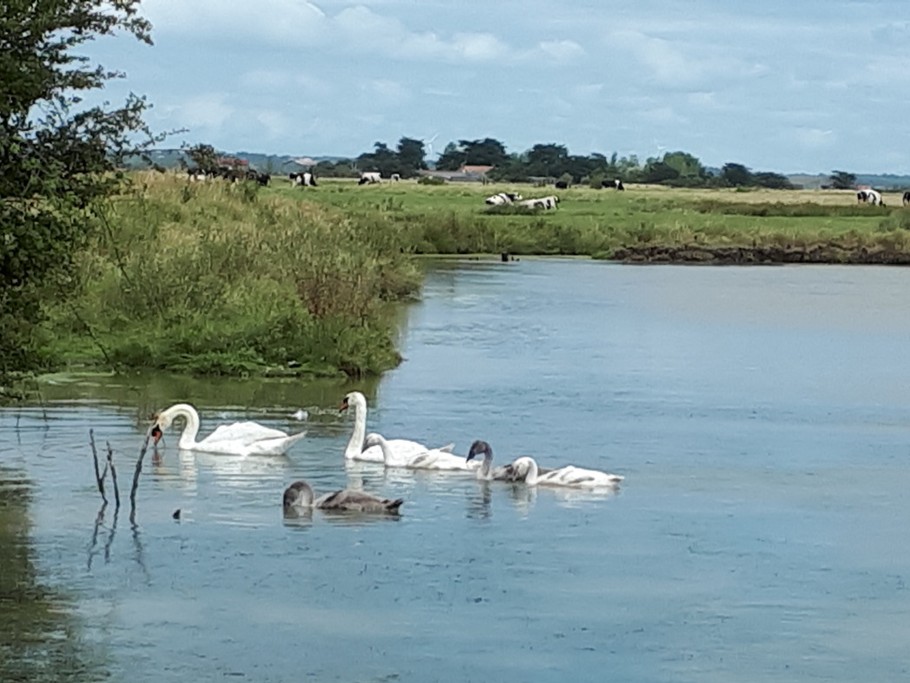 Photo n° 13 de la location