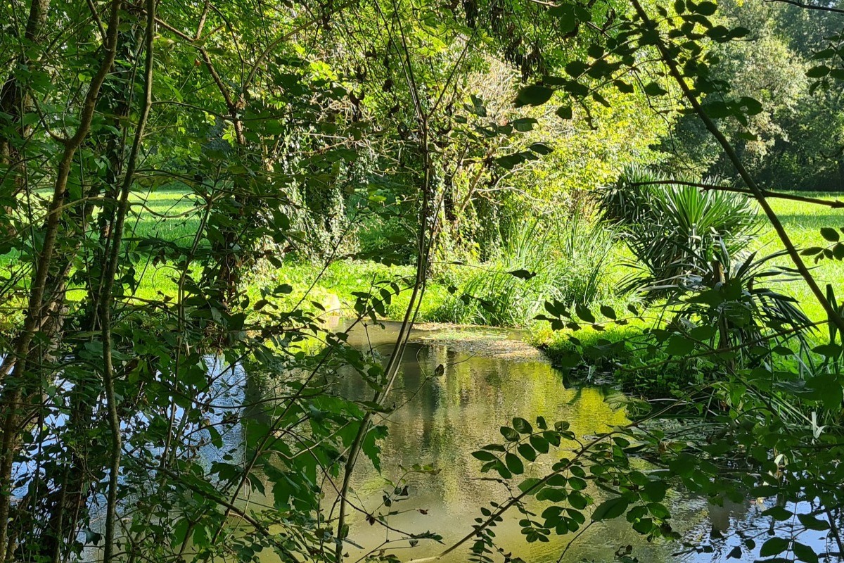 Photo n° 11 of the location
