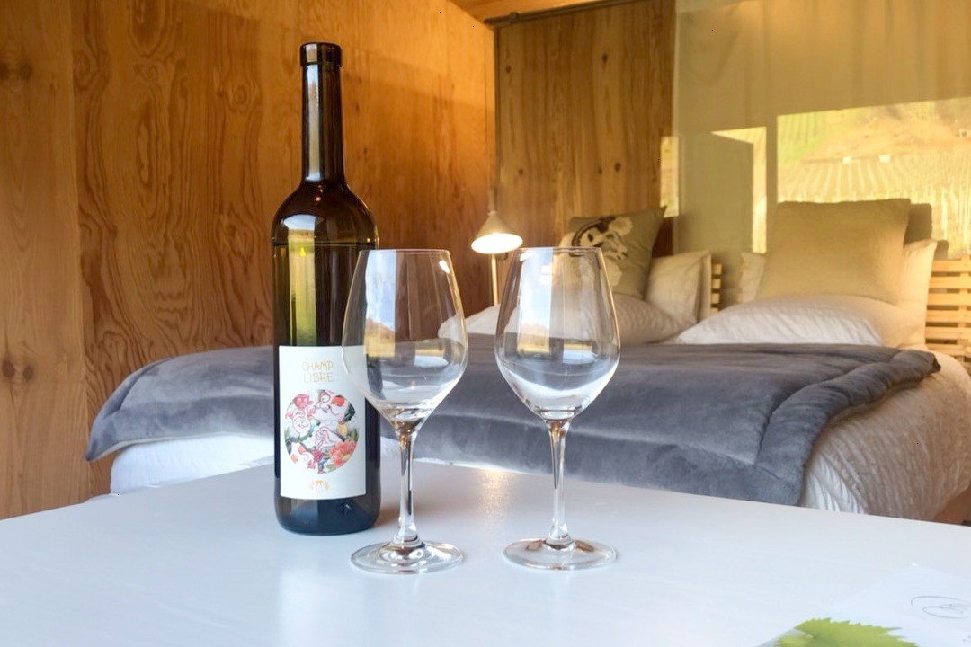 Au coeur du vignoble mosellan, déguster nos productions!