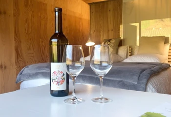 Au coeur du vignoble mosellan, déguster nos productions!
