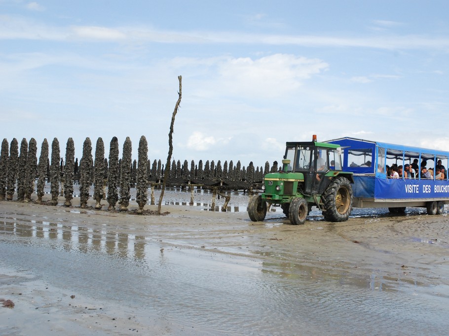 Visite des parcs à moules et pêcherie traditionnelle à bord du train marin à Cherrueix