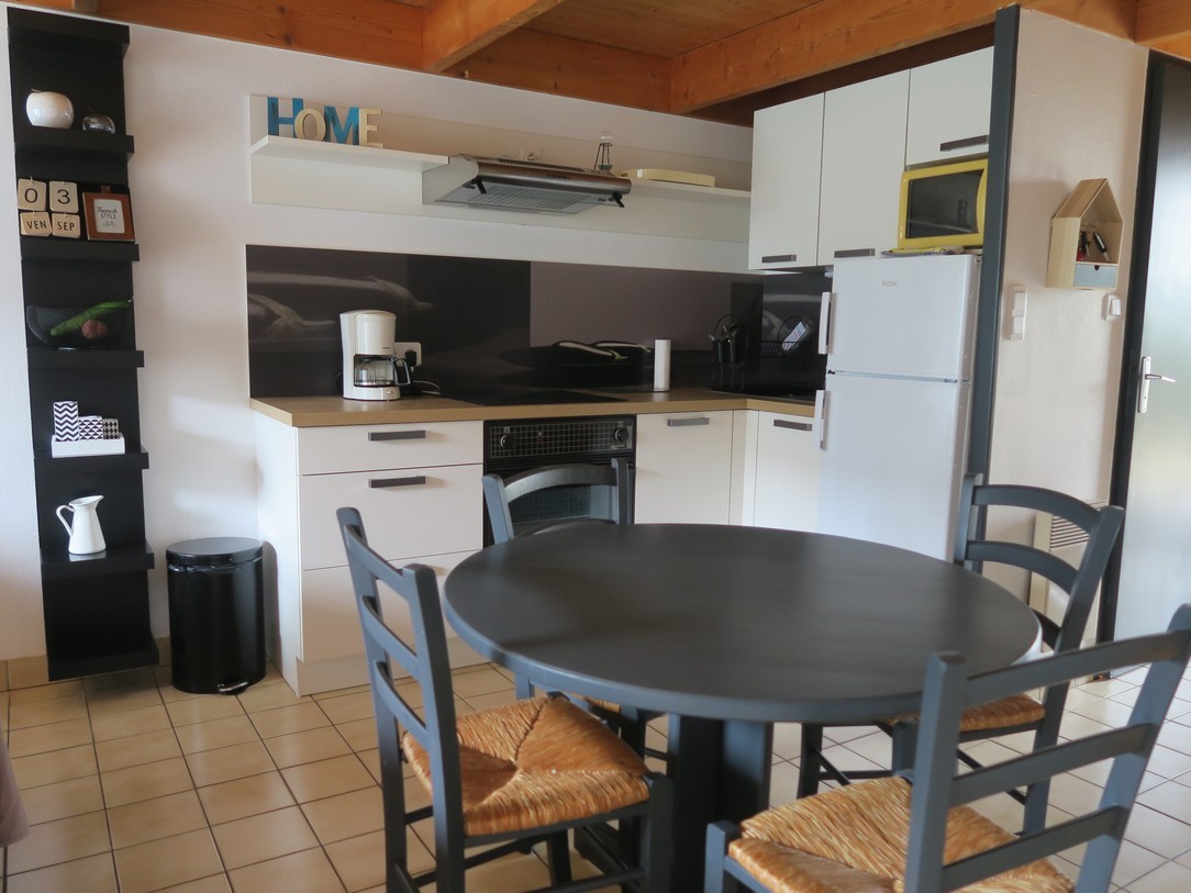 Guyodo rental, kitchen